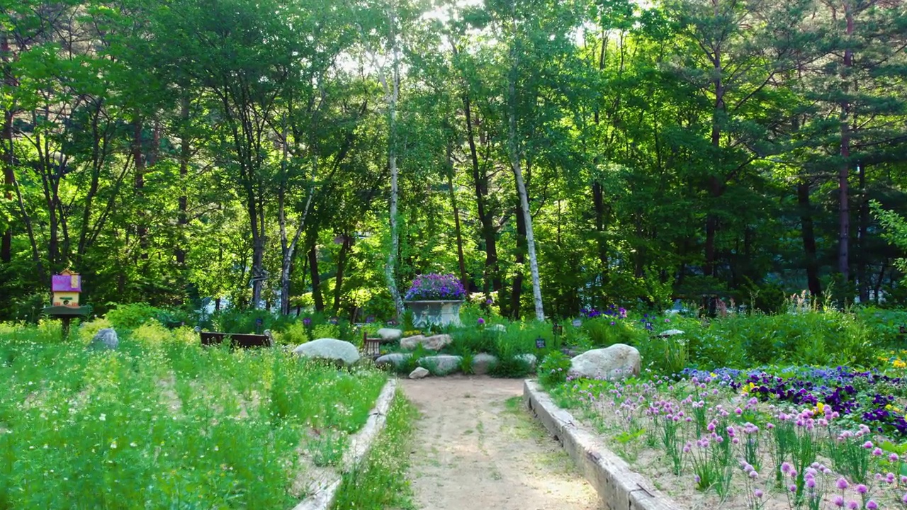 Herbnara农场/平昌郡，江原道，韩国视频素材