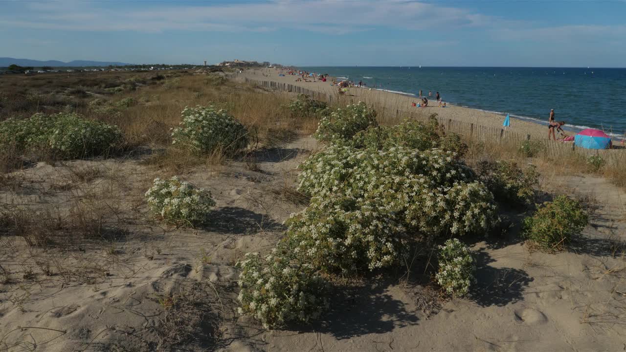 法国欧西塔尼比利牛斯东方部，Canet en Roussillon和圣塞浦路斯人之间的海滩视频素材