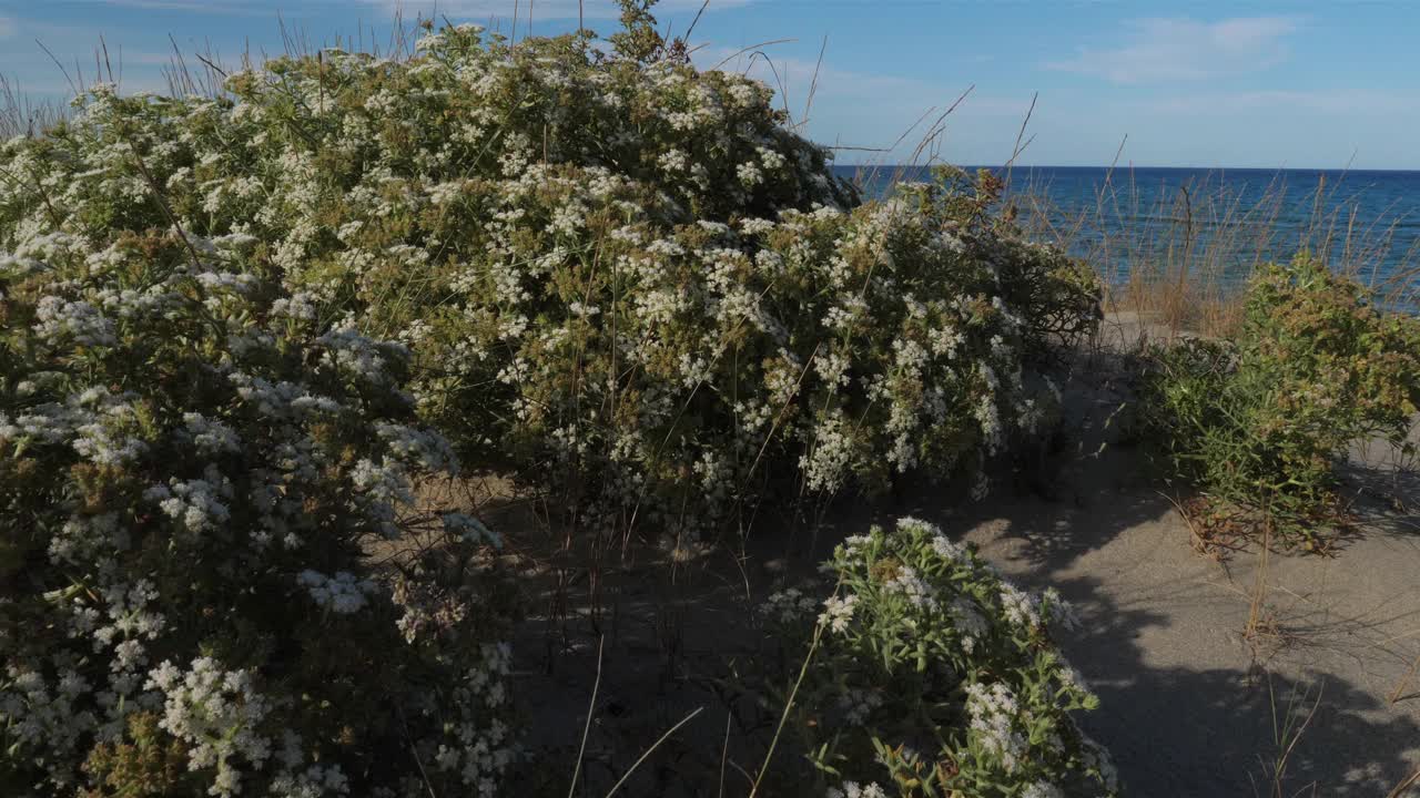 法国欧西塔尼比利牛斯东方部，Canet en Roussillon和圣塞浦路斯人之间的海滩视频素材