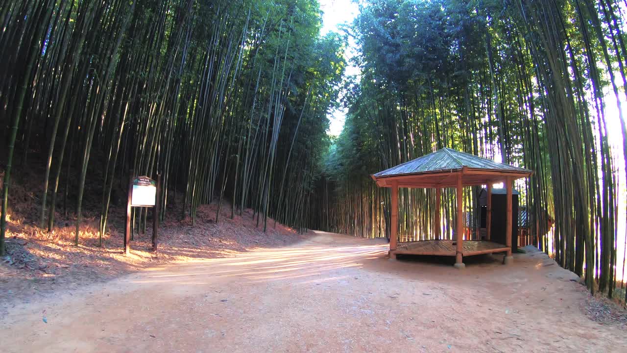 韩国全罗南道潭阳郡竹林小屋的凉亭视频素材