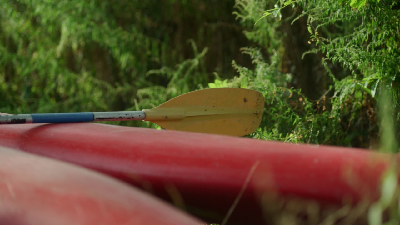 水边的红色皮划艇和独木舟视频素材