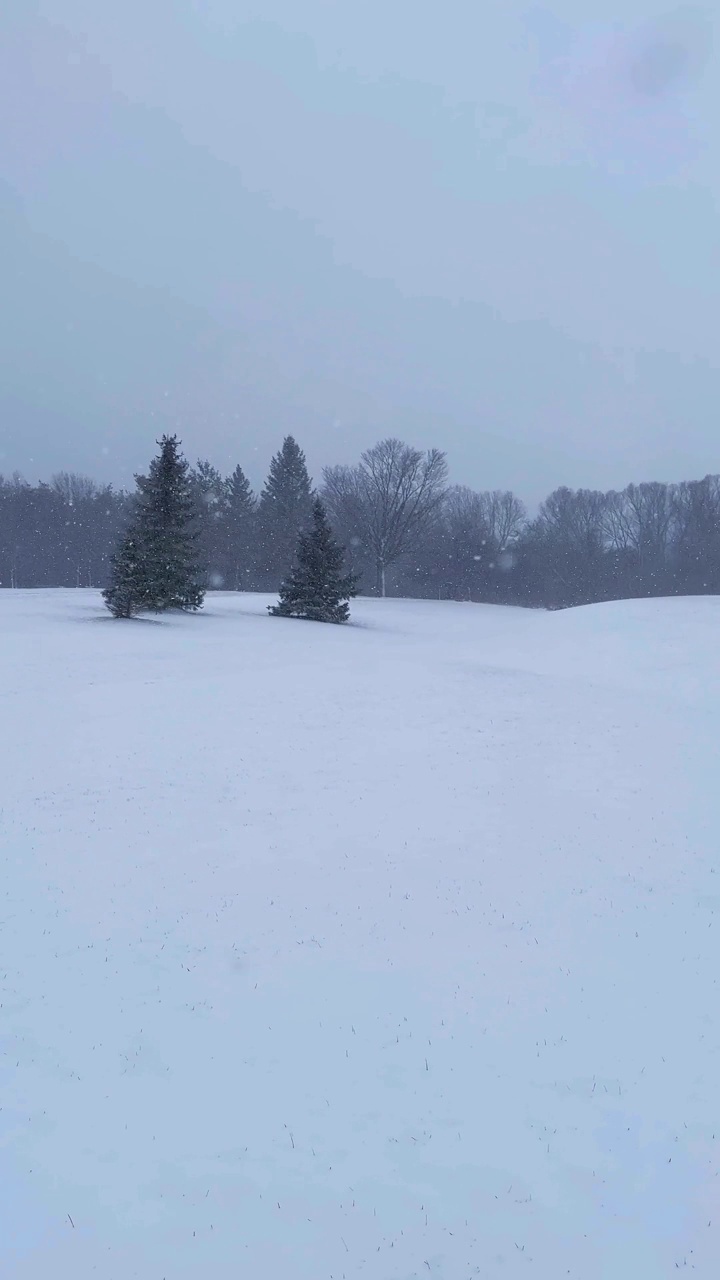 在冬天的田野里吹雪4K视频素材