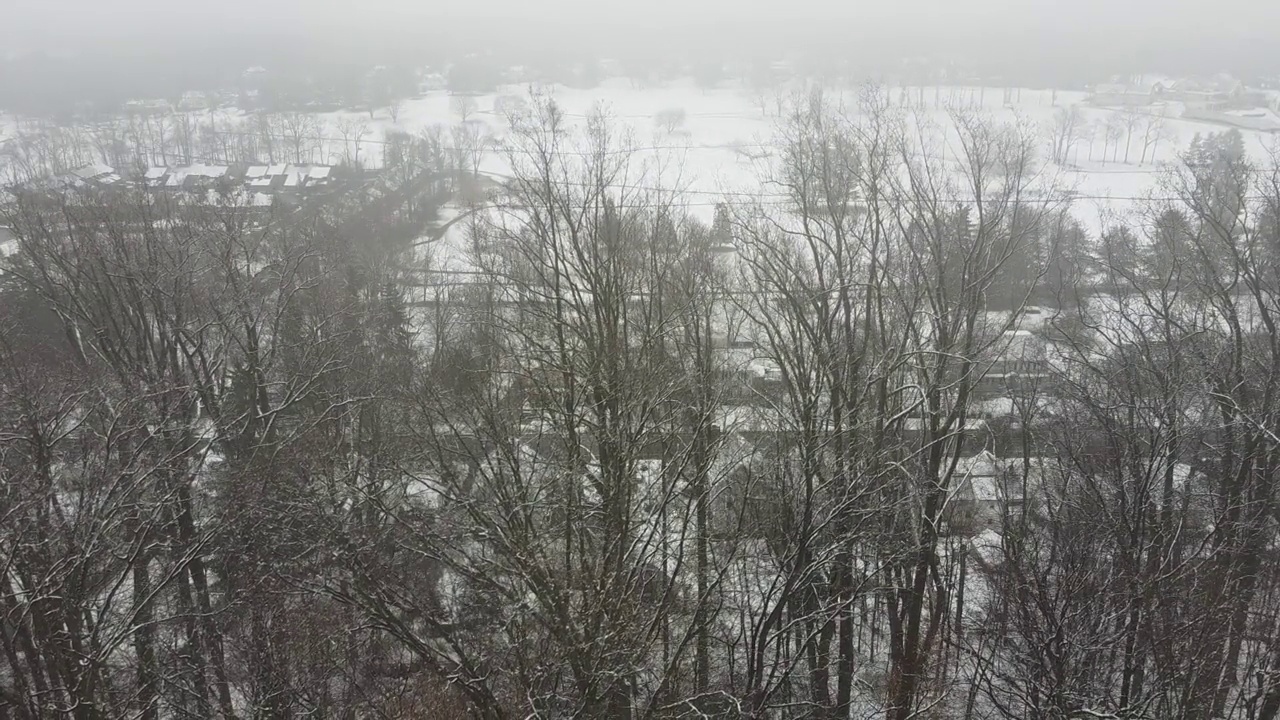 侧视图经过白雪覆盖的树林向左移动视频素材