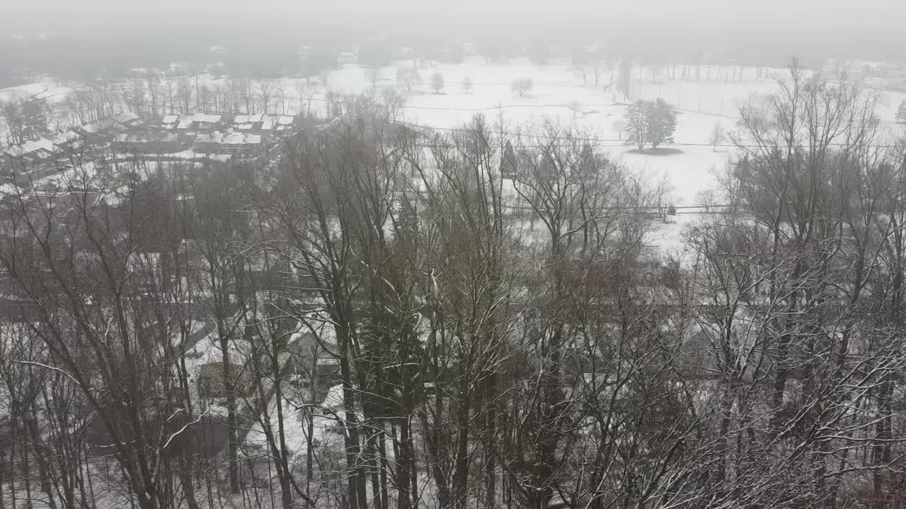 鸟瞰，侧视图，经过白雪覆盖的森林向右移动视频素材