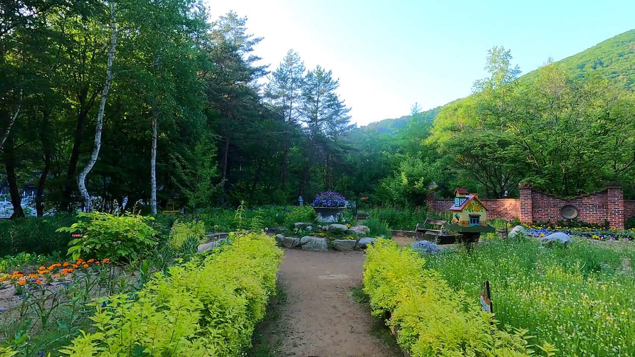 Herbnara农场/平昌郡，江原道，韩国视频素材