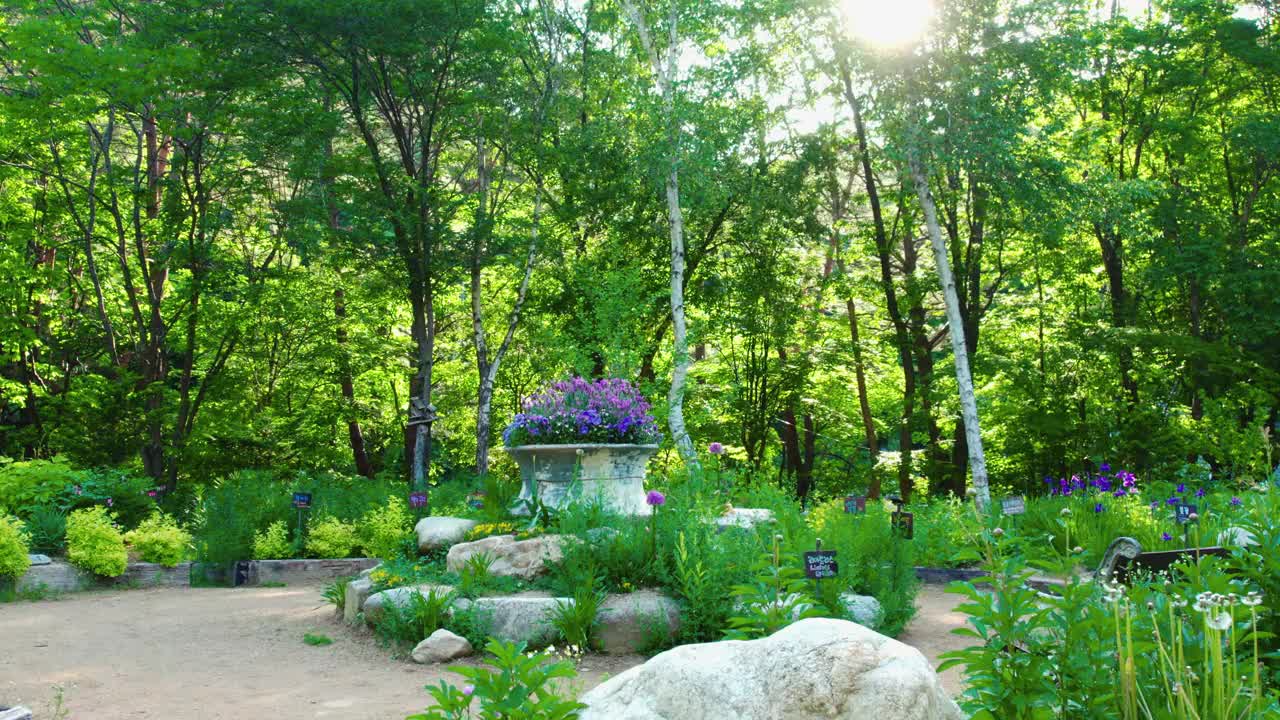 Herbnara农场/平昌郡，江原道，韩国视频素材