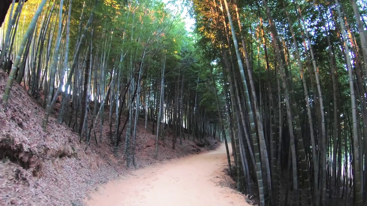 韩国全罗南道潭阳郡竹林小屋的凉亭视频素材