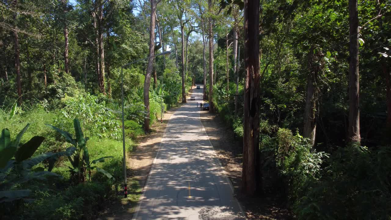 在一个明亮的日子里，在秋天的森林中有笔直的道路的Doi Luang Chiang Dao山的空中景观。视频素材