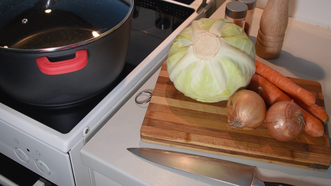 Сabbage, carrots, onions for cutting on a cutting board. Table with vegetables before cutting视频下载