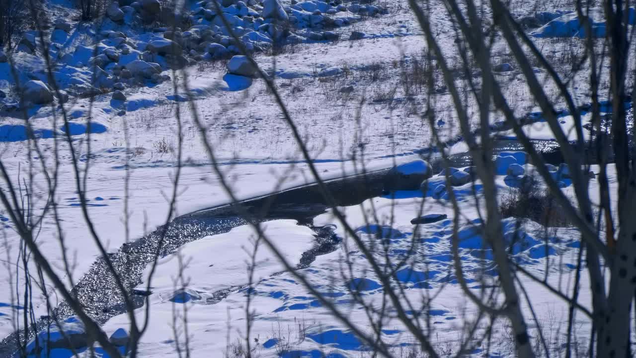 冬天，在哈萨克斯坦的雪山高处，有一条湍急不结冰的河流视频素材