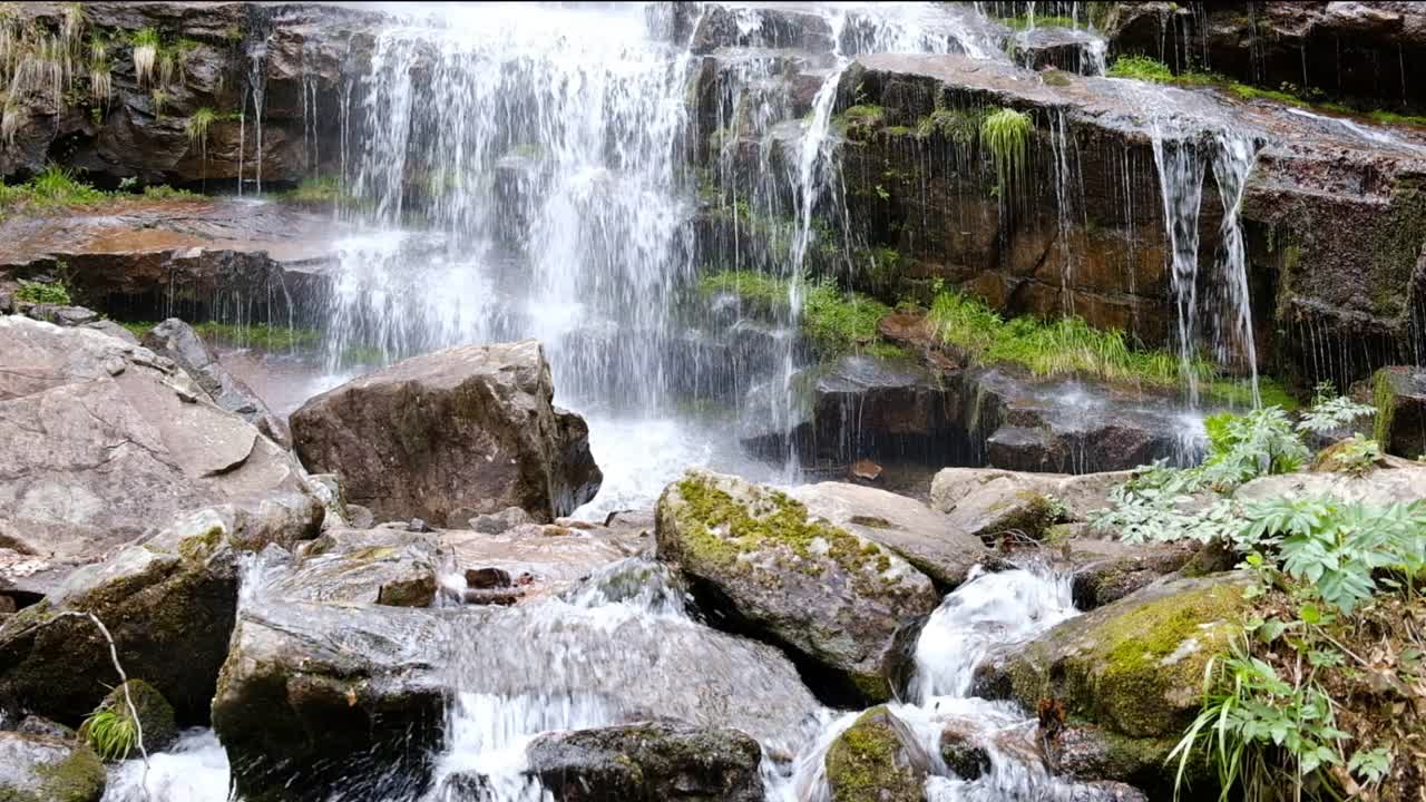 春天森林里的山间瀑布视频素材