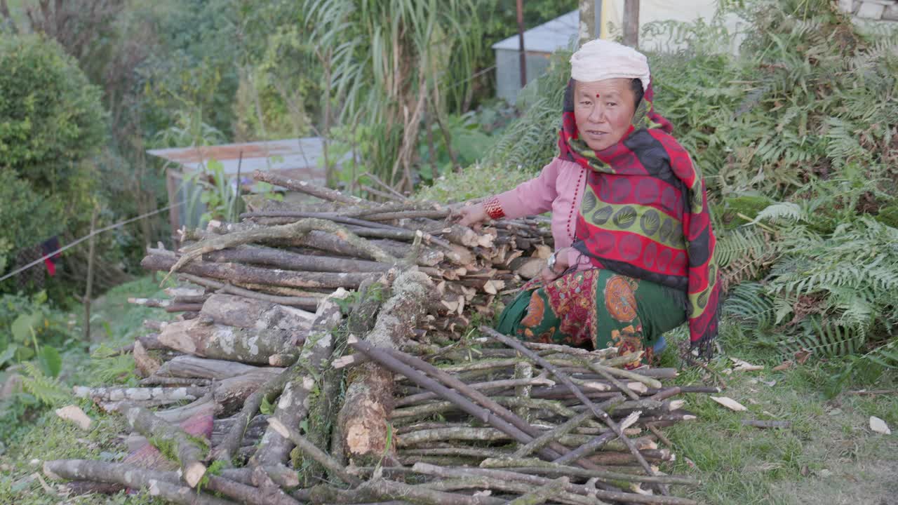 一名尼泊尔妇女在安纳普尔纳山脉附近收集森林视频素材