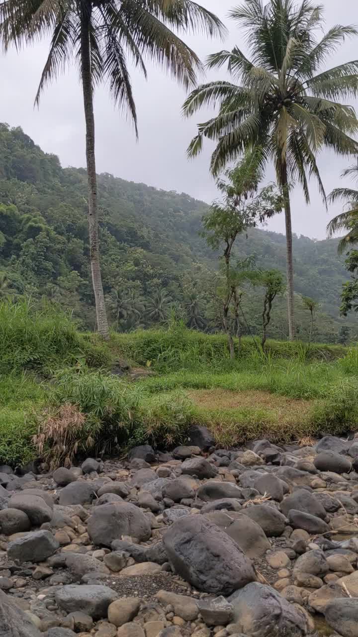 水在多岩石的河里流动视频素材