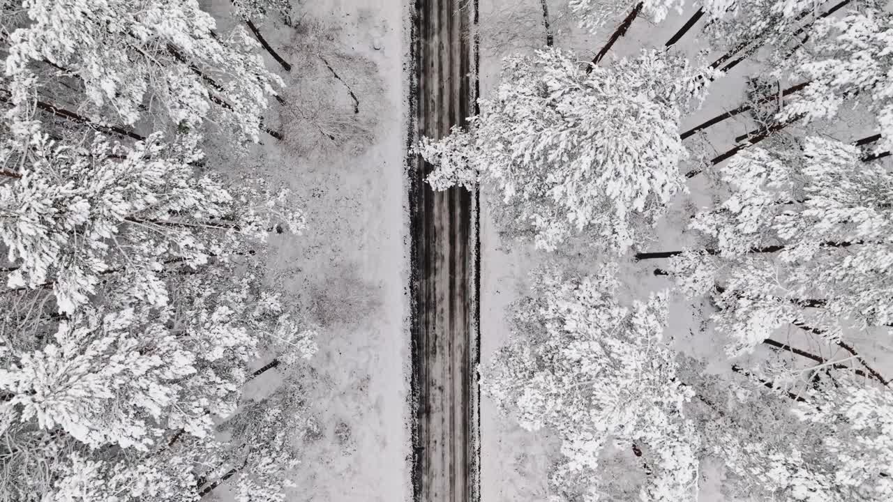 冬天，汽车行驶在柏油路上，穿过雪林。视频素材