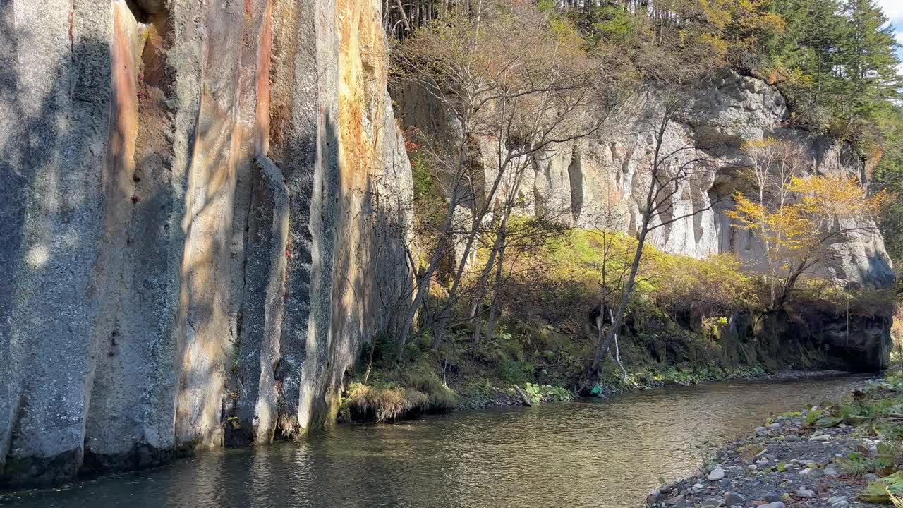 树叶落在河边的岩石峭壁上视频素材