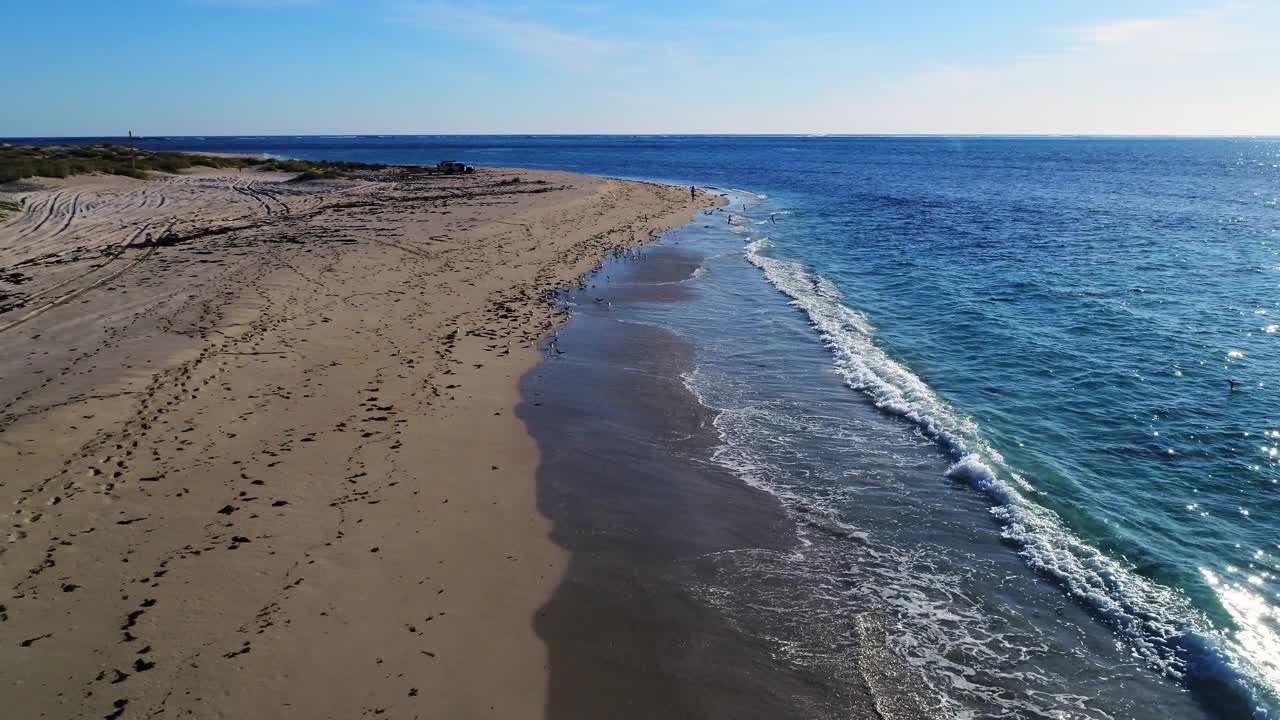 海边的景象，一群海鸟低低地飞过海岸线，海浪拍打着海滩视频素材