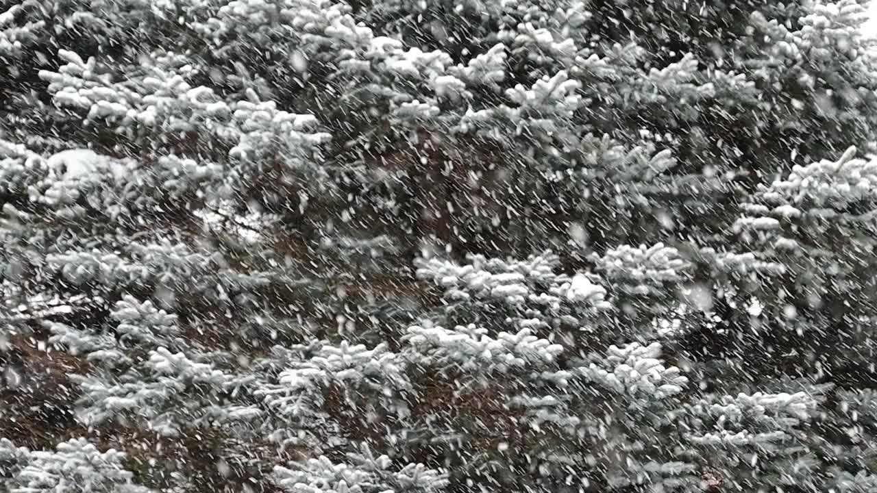 下雪天视频素材