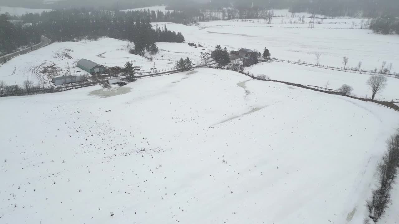 无人机在山上拍摄美丽的冬季景色，远处的松树被雪覆盖，农场。黑暗的天空下着大雪。电影的拍摄。冬季旅游。视频素材