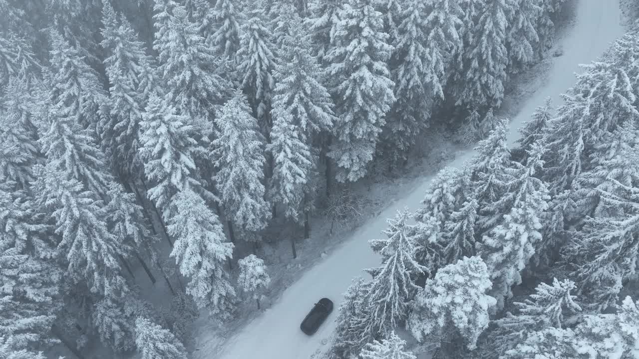 无人机鸟瞰道路在田园诗般的冬季景观自然在茂密的森林与新雪。视频素材