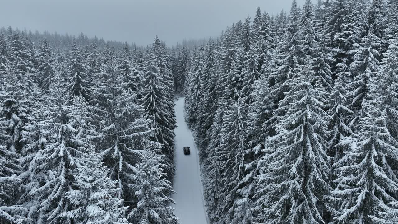 无人机鸟瞰道路在田园诗般的冬季景观自然在茂密的森林与新雪。视频素材