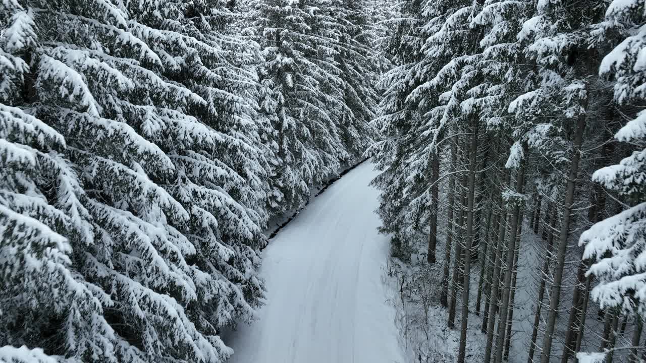 无人机鸟瞰道路在田园诗般的冬季景观自然在茂密的森林与新雪。视频素材