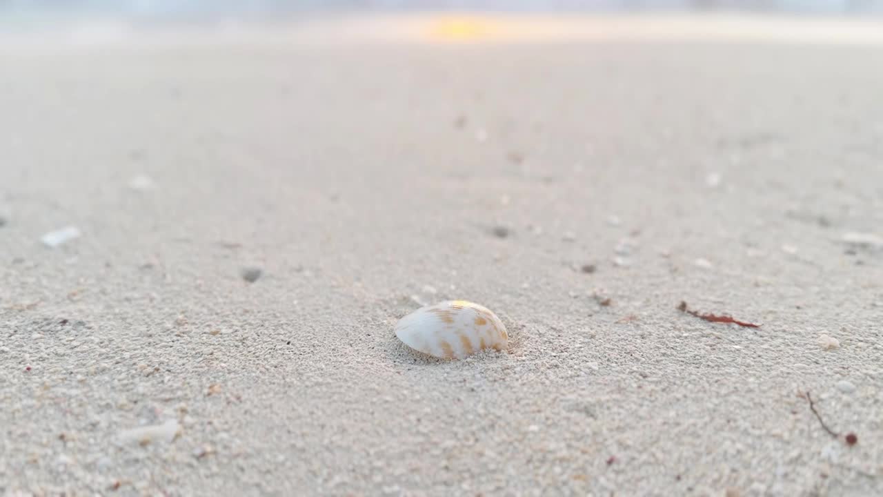 海滩上的日出视频素材