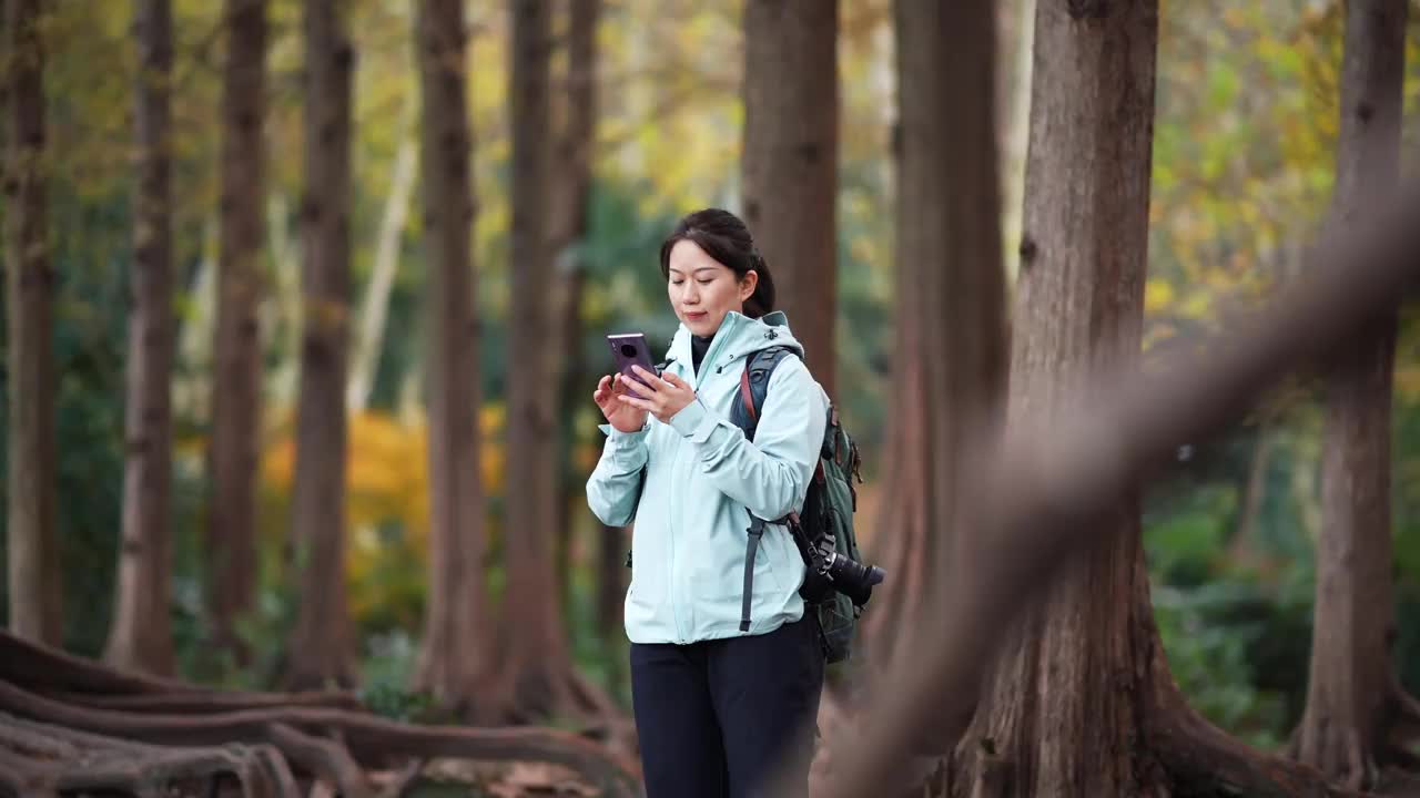 女子在森林里使用智能手机视频素材