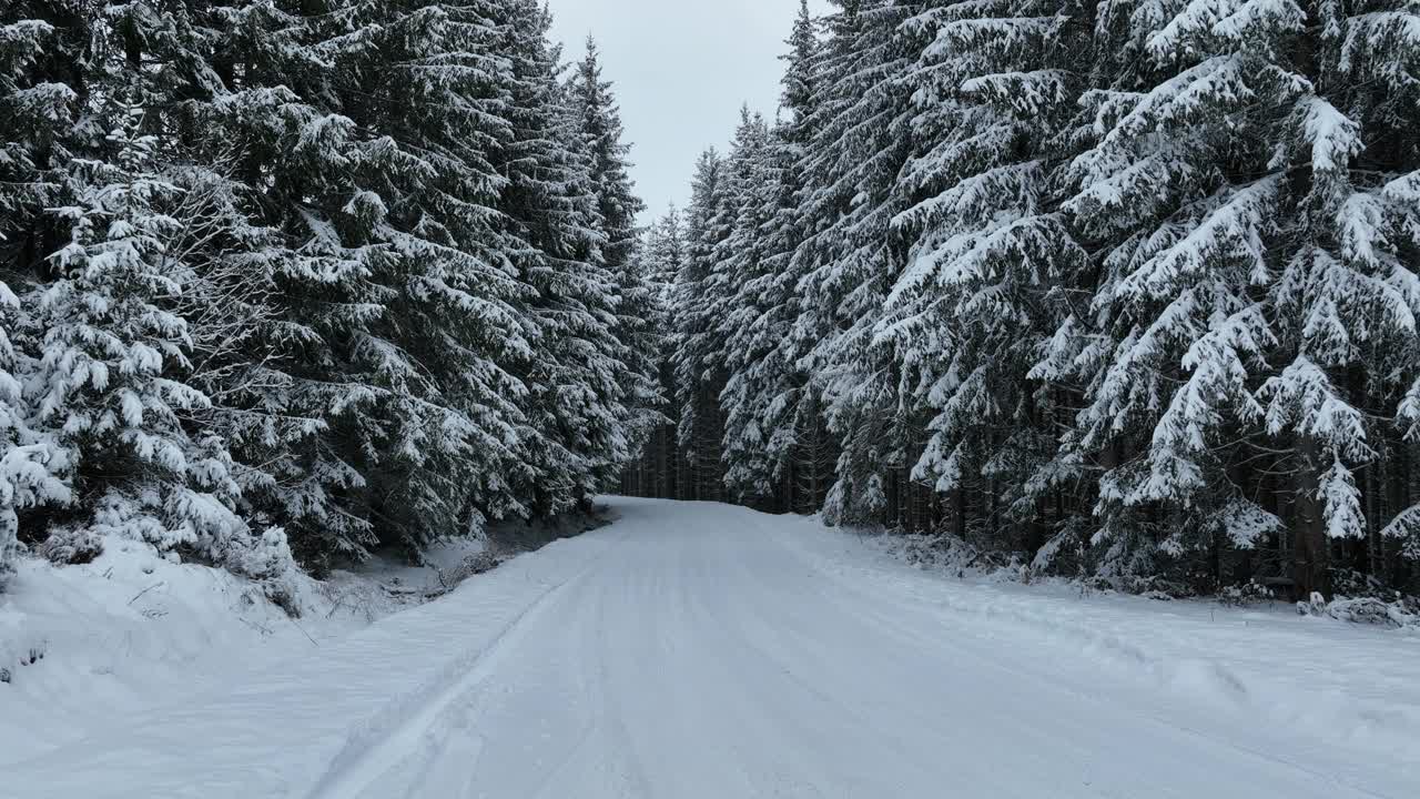 无人机鸟瞰道路在田园诗般的冬季景观自然在茂密的森林与新雪。视频素材