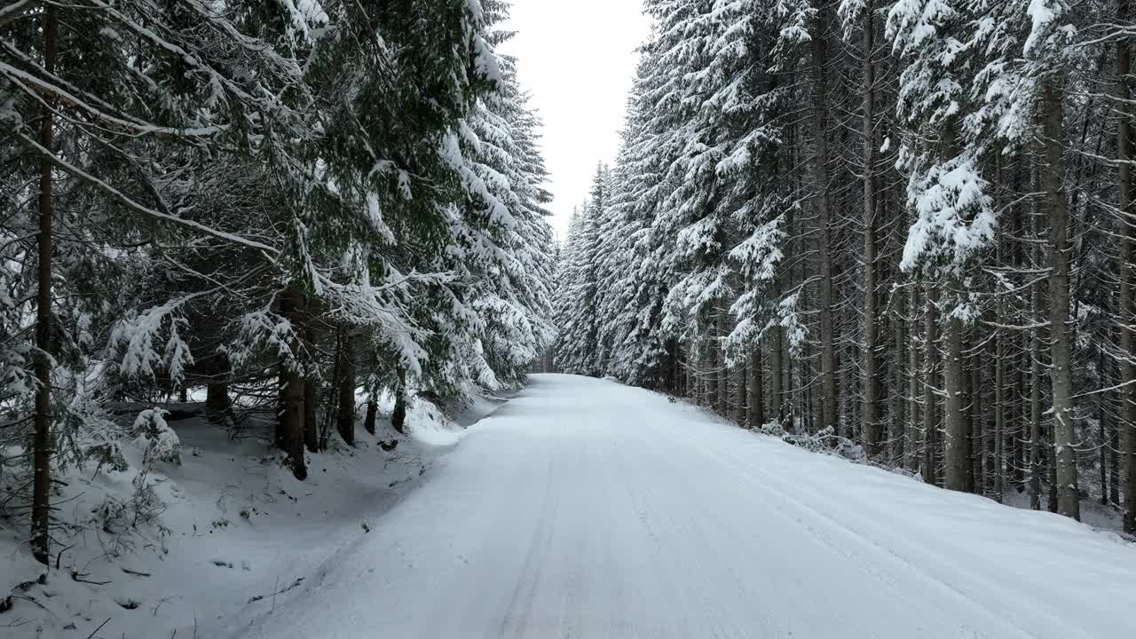 无人机鸟瞰道路在田园诗般的冬季景观自然在茂密的森林与新雪。视频素材