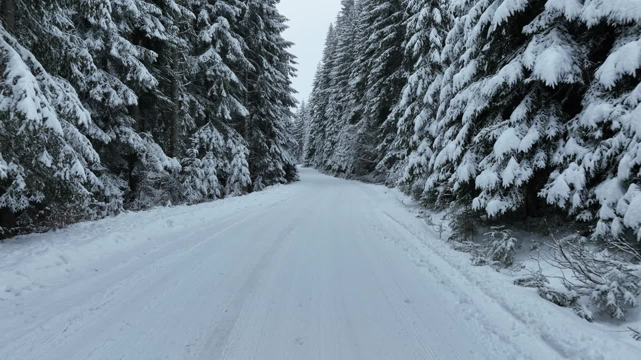 无人机鸟瞰道路在田园诗般的冬季景观自然在茂密的森林与新雪。视频素材