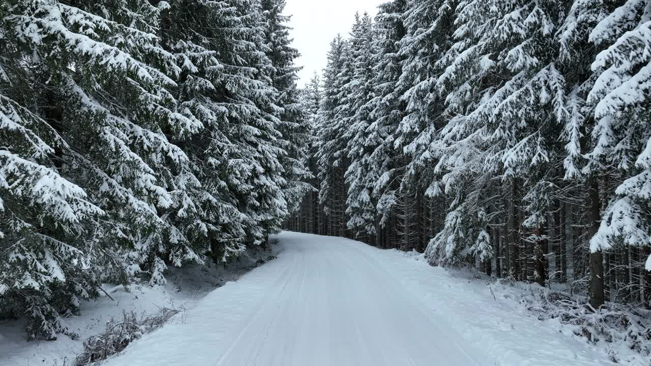 无人机鸟瞰道路在田园诗般的冬季景观自然在茂密的森林与新雪。视频素材