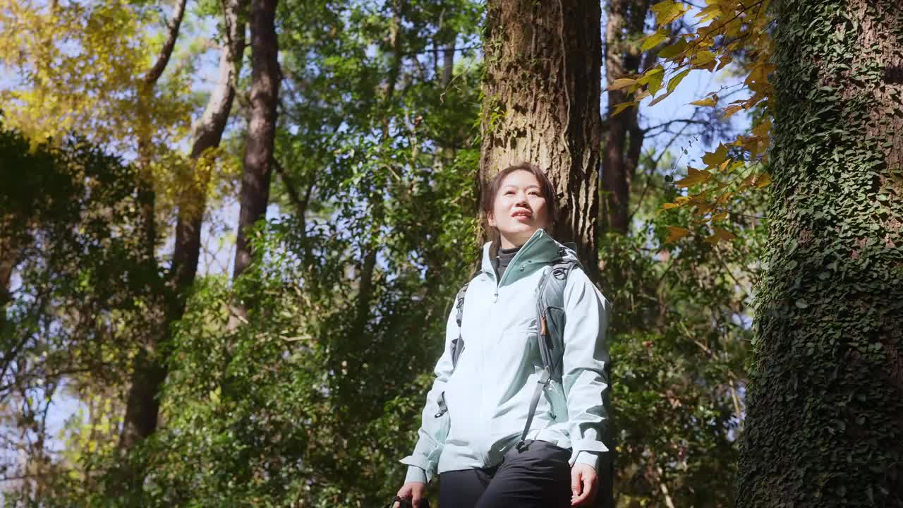 森林里的女人张开双臂视频素材