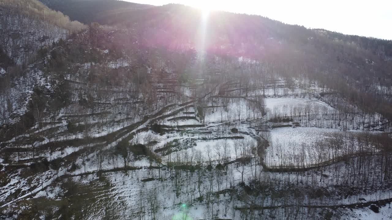 冬季有树的雪山空中全景视频下载