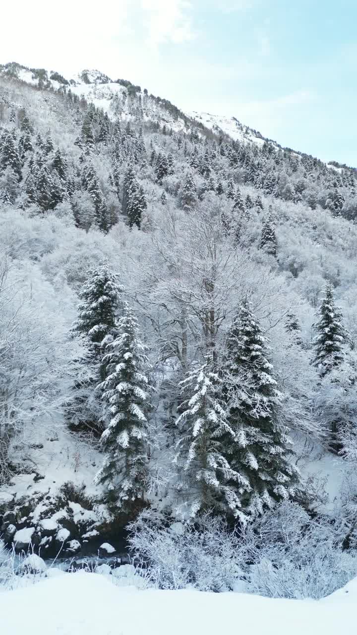 风景如画的视频雪山冬季湖景观。在秋天和下雪天，Saut Deth Pish瀑布旁边的小湖视频下载