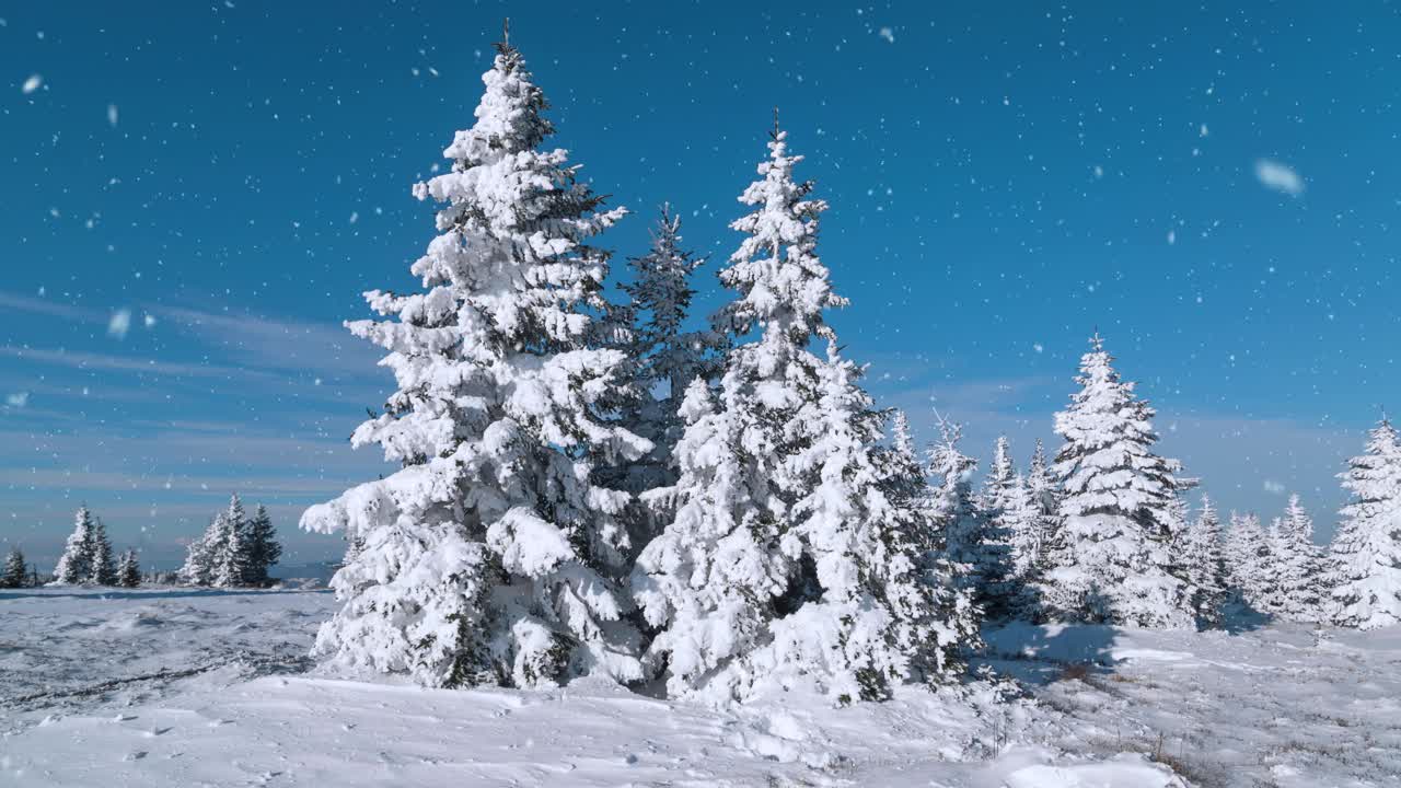 大雪期间的山顶景观。视频素材