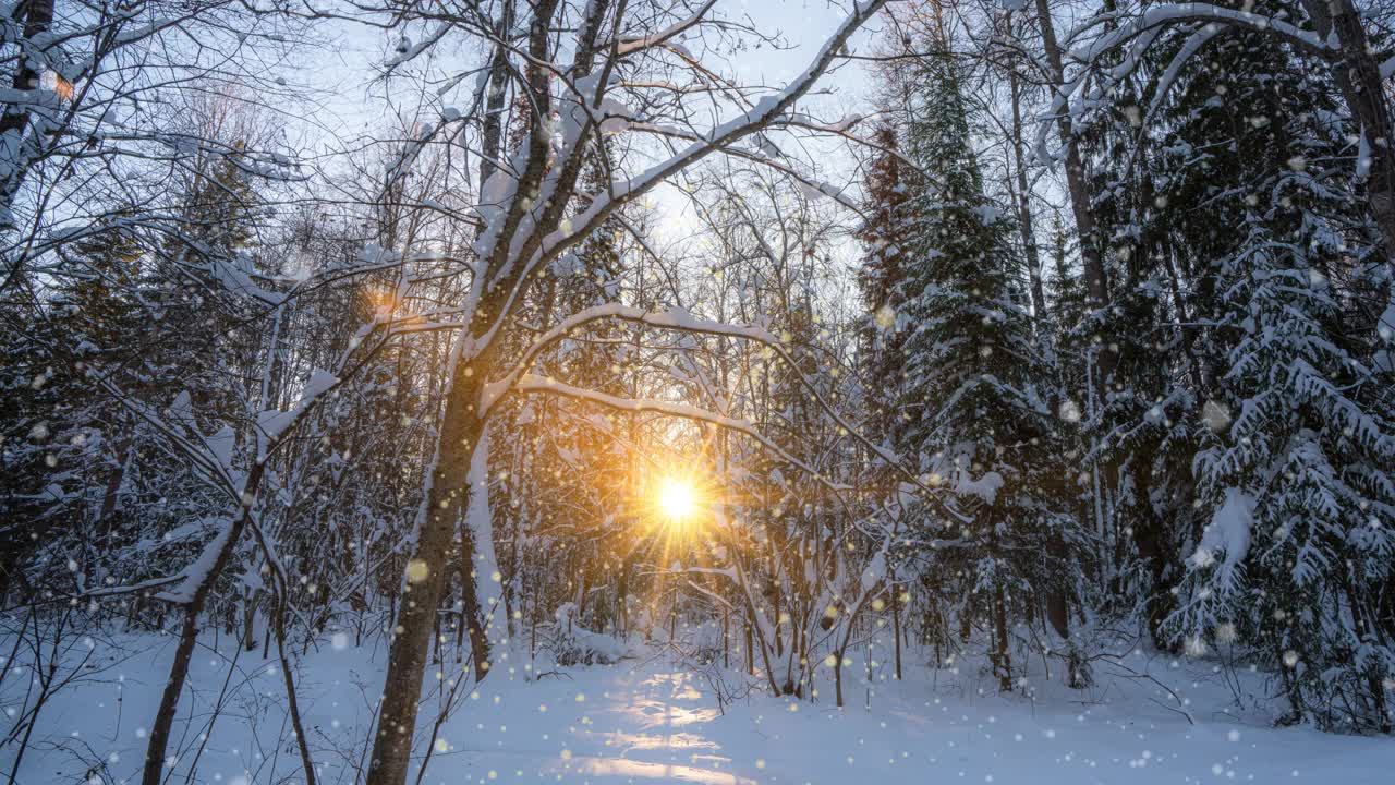 冬季景观与降雪，圣诞节冬季美丽的景观，cinemagraph，视频循环，美丽的软降雪视频素材