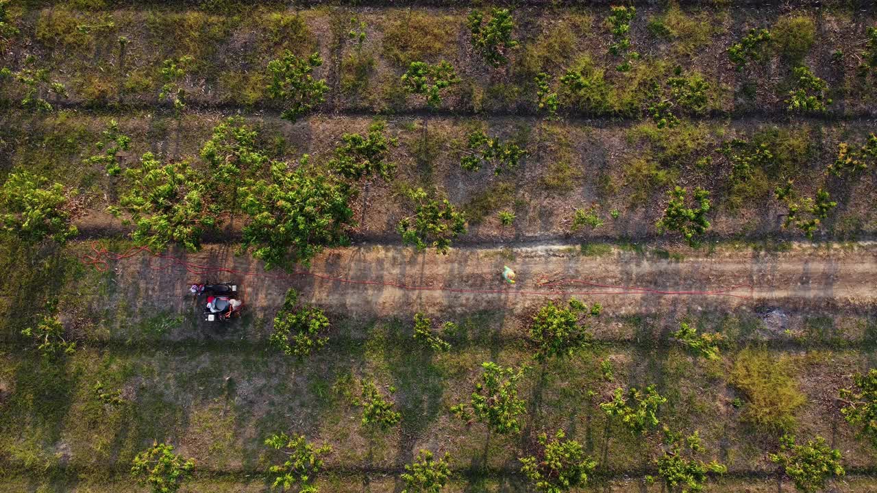 农民用除草剂或杀虫剂喷洒绿色蔬菜的鸟瞰图。早晨，农民在菜地里喷洒肥料。环境与农业化学品“，”视频素材