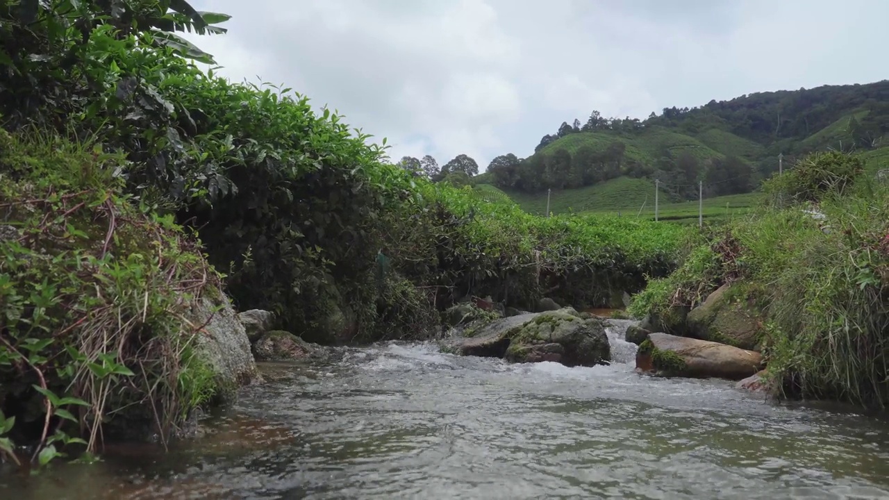 森林景观中的河流瀑布。水在溪中流，山中有石。茶园里的小溪。茶园里河流的湍急水流。视频素材