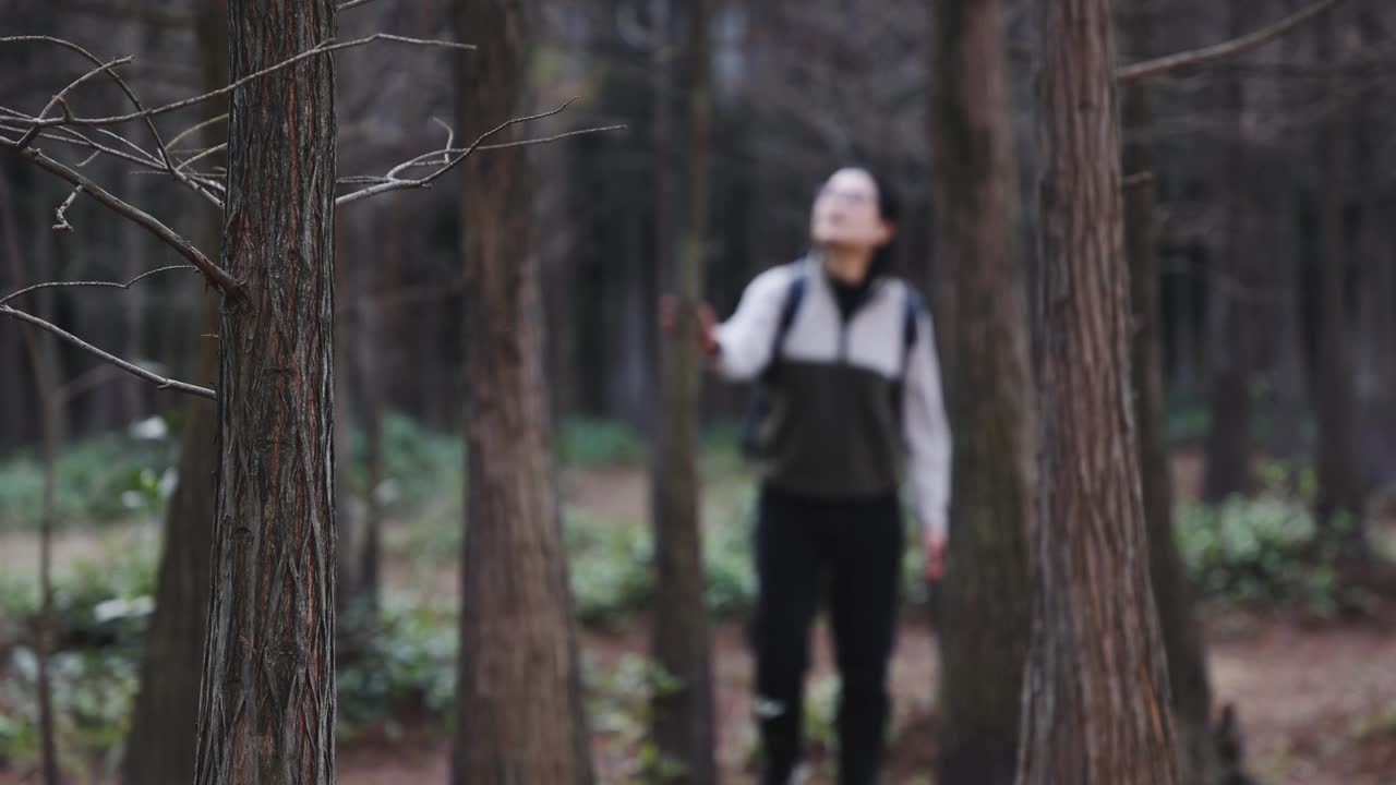 亚洲女子在森林里徒步旅行，享受美丽的风景视频素材