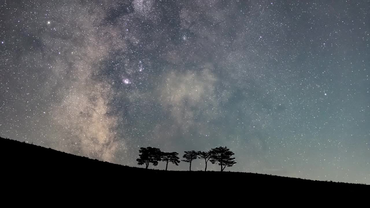 韩国江原道，西比斋山口和松树附近的夜空、银河和自然风景视频素材