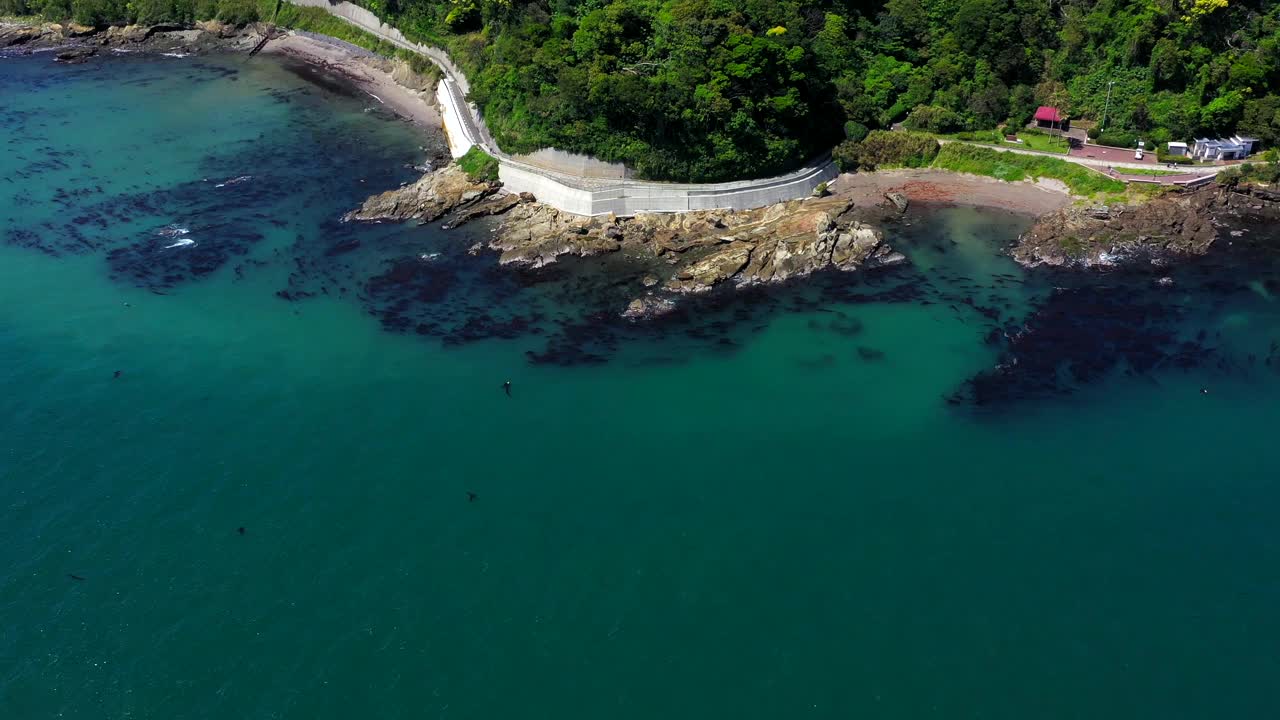 美丽的大海，清新的绿色森林和灯塔景色视频素材