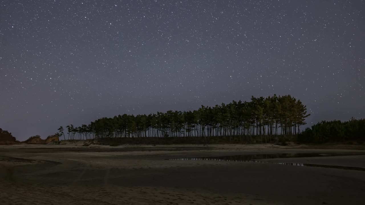 韩国忠清南道泰安郡安眠岛、云余海滩和松树附近的夜空、银河和自然风景视频素材