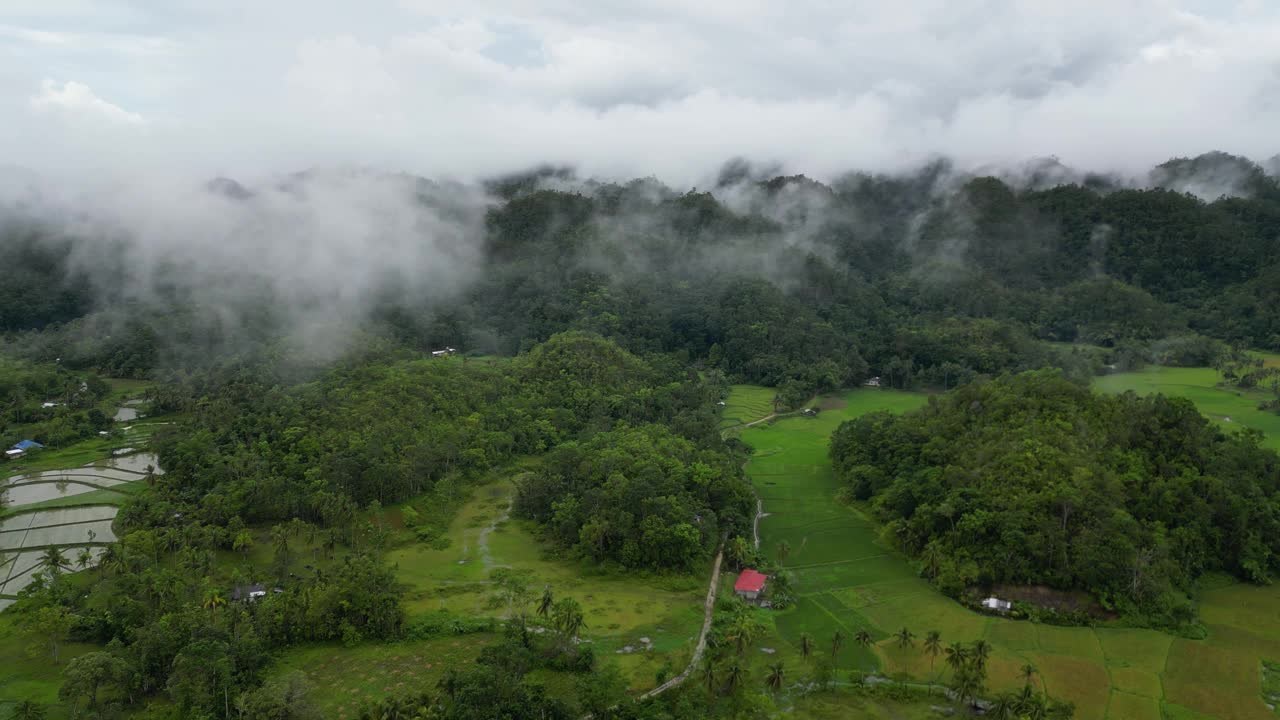 热带雨林的鸟瞰图，绿色的树木和白色多云的天空。新鲜的森林，被云雾覆盖，它在里面呼吸得很好很深。热带岛屿薄荷岛清洁的环境。视频素材