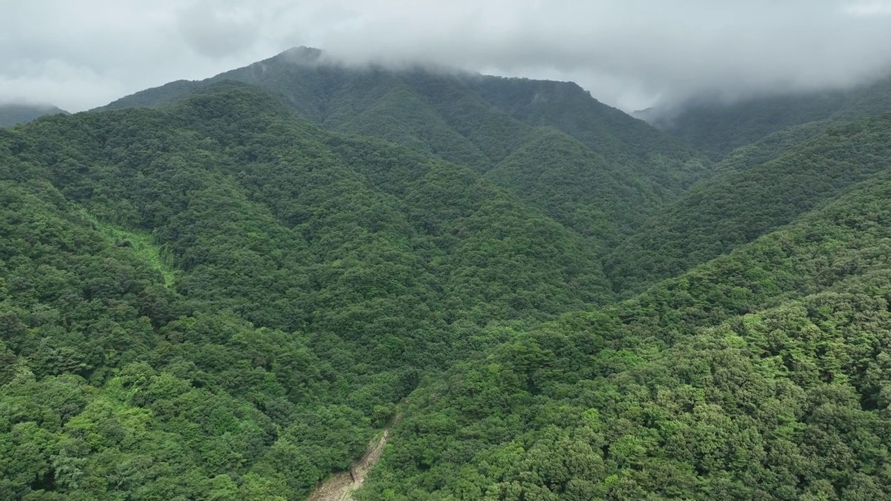 韩国忠清北道忠州市宝莲山的云海视频素材