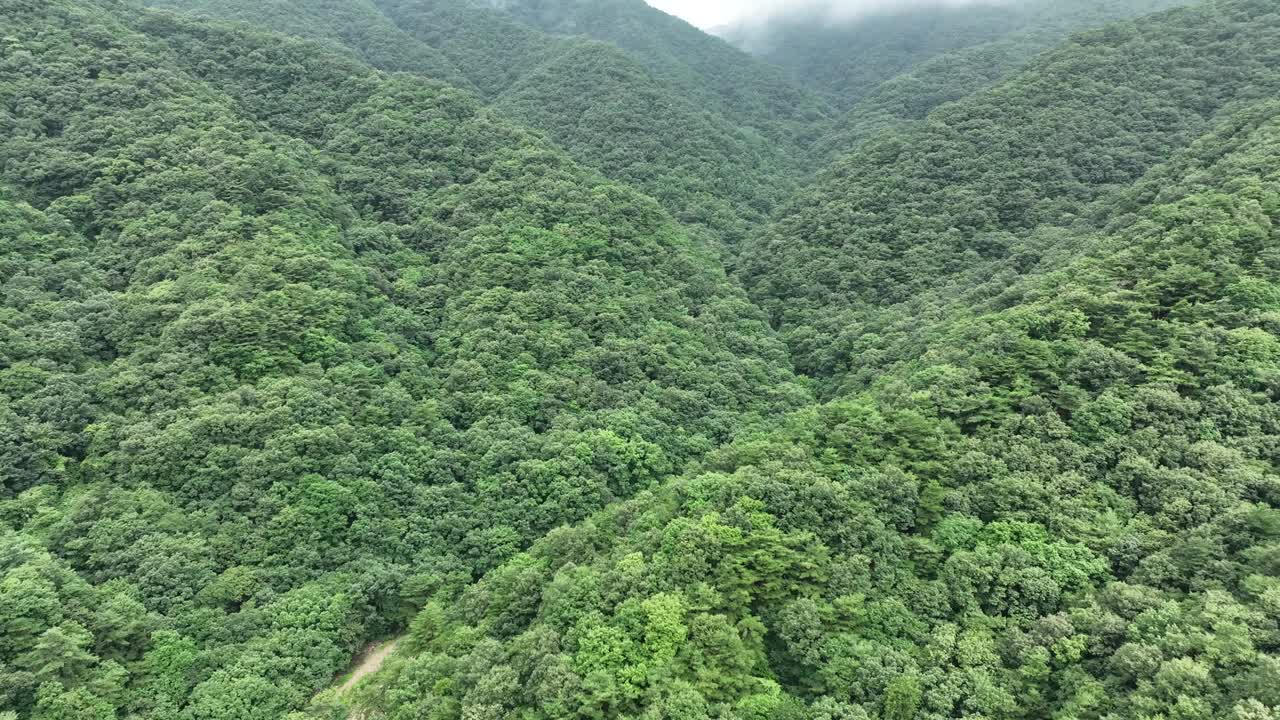 韩国忠清北道忠州市宝莲山的云海视频素材