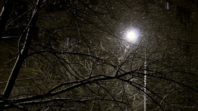 这个城市晚上下大雪视频素材