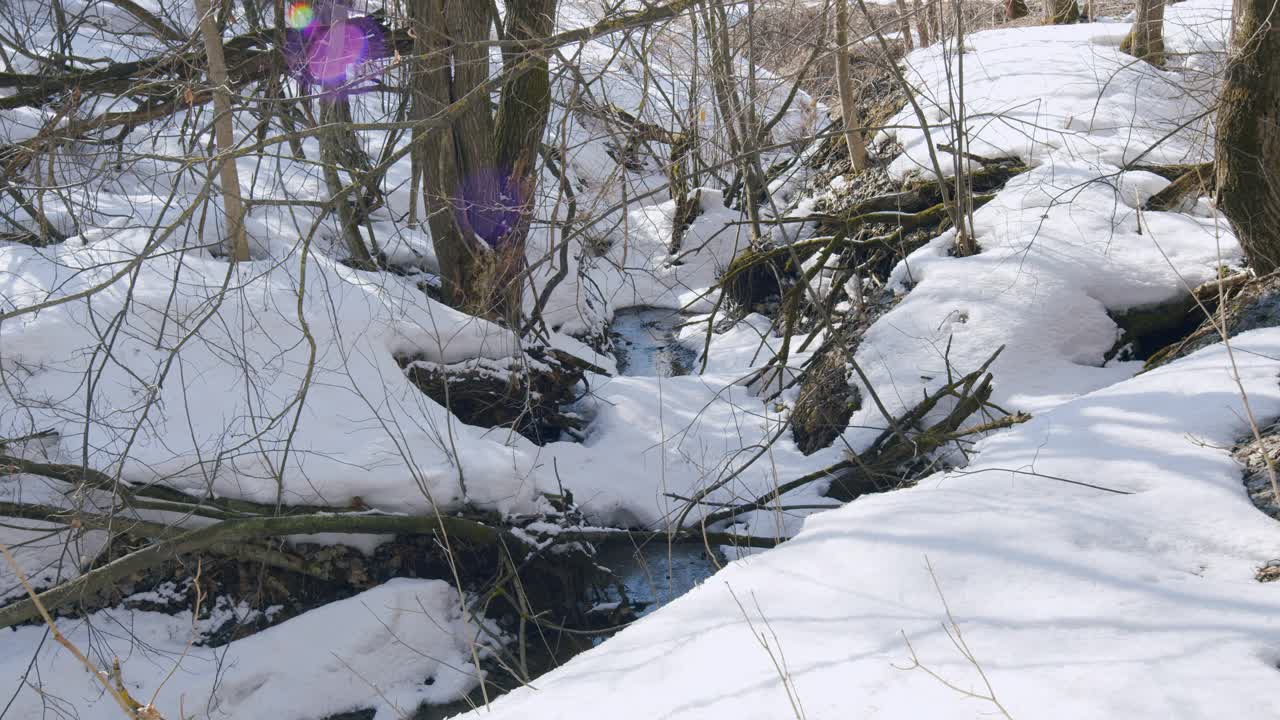 早春融化了积雪，水在野生森林中形成了一条小溪。视频素材