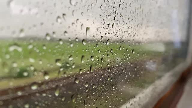 火车上的雨视频下载