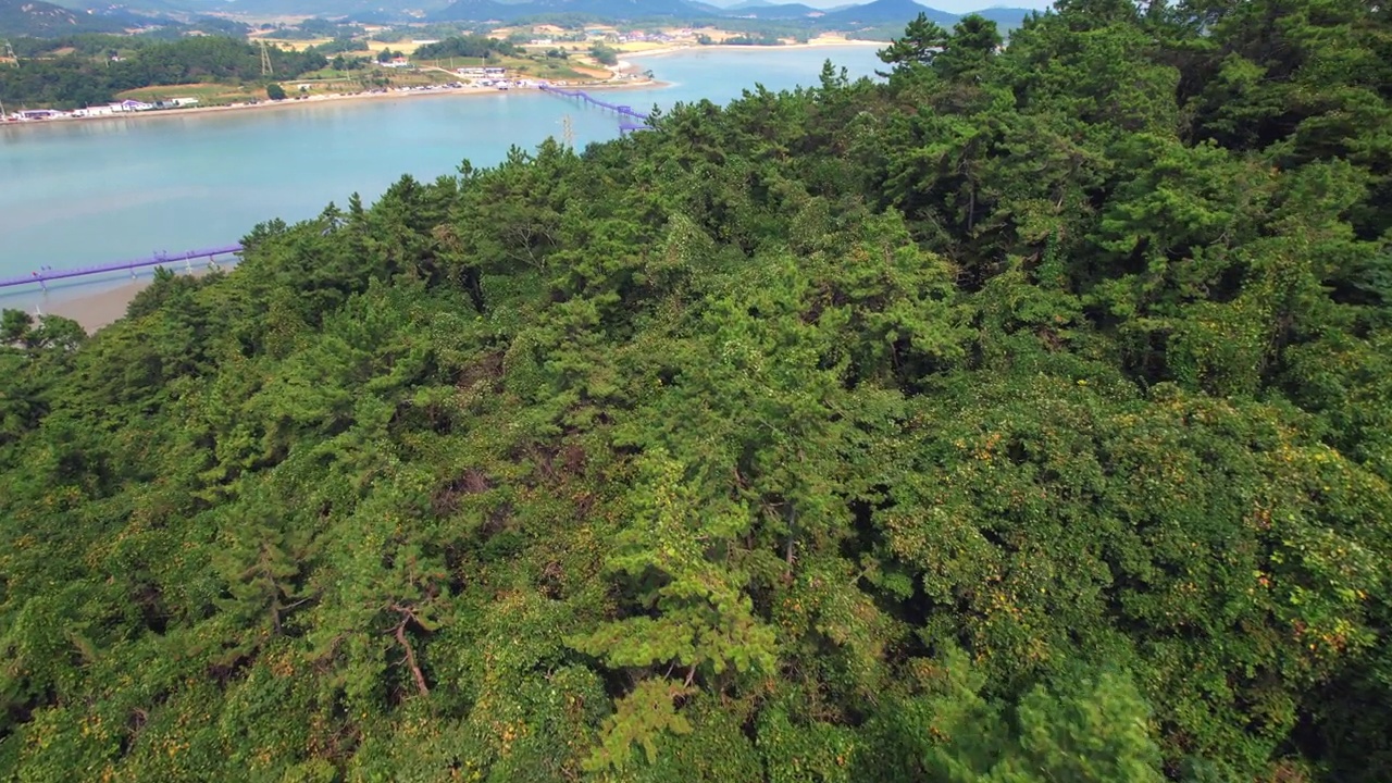 韩国全罗南道新安郡粟谷郡的村庄风景——紫桥、白枝岛、大海和紫岛视频素材