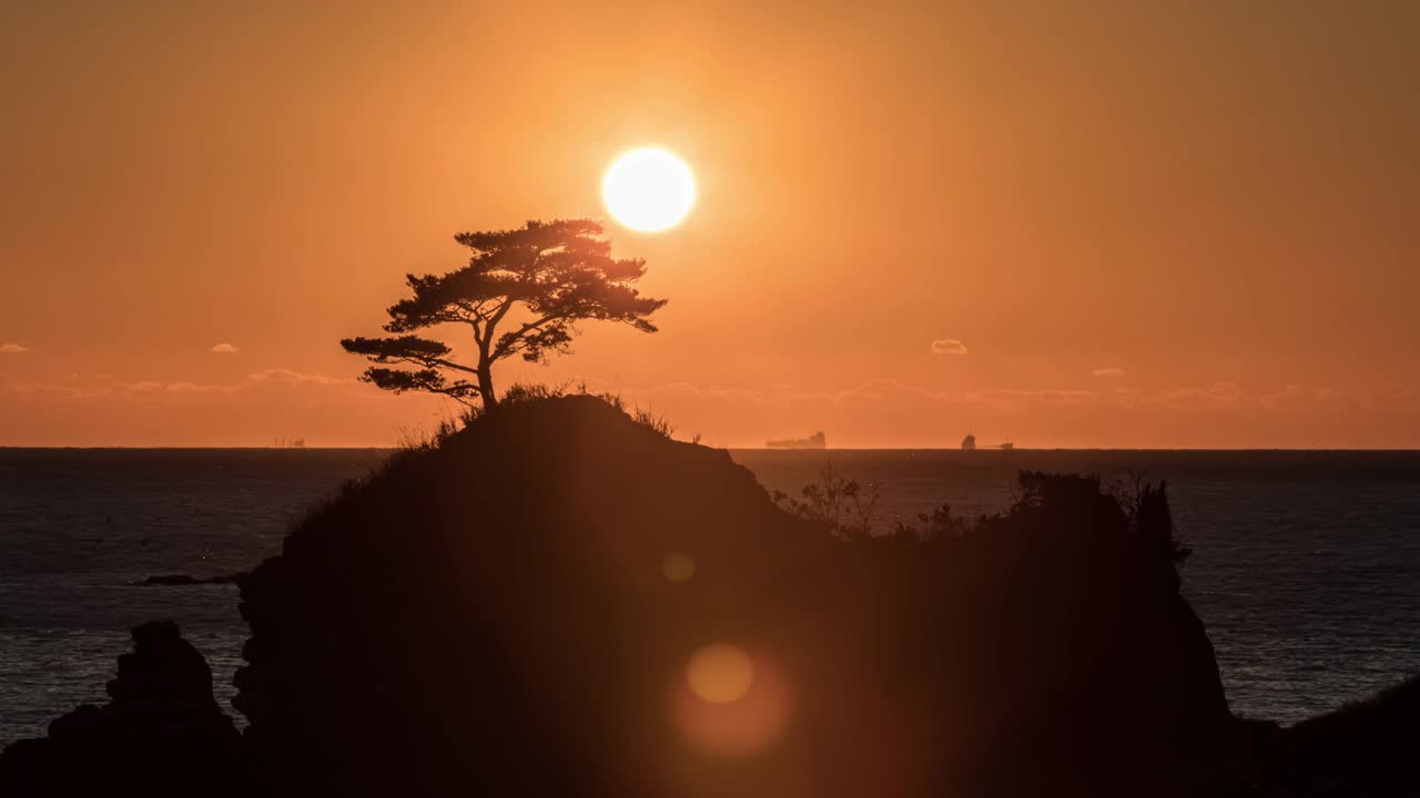 韩国忠清南道泰安郡，Meondong海滩和松树附近的自然风景和日落视频素材